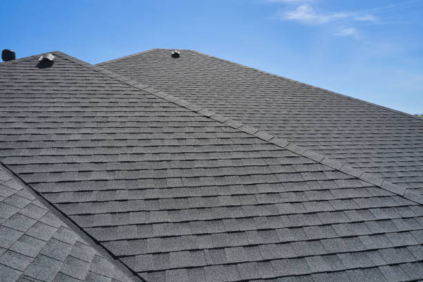 Best Rubber Roofing (EPDM, TPO)  in Rogers, MN